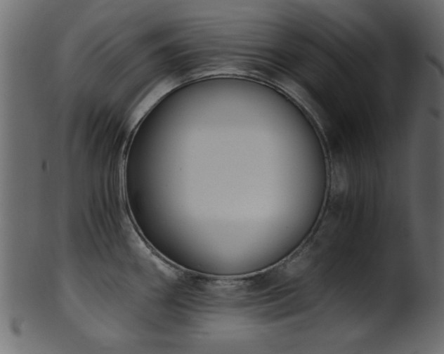 X0000101951290200807181442