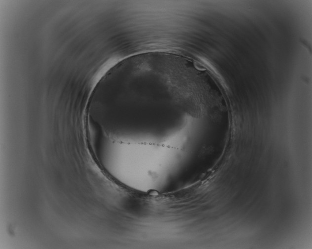 X0000101951291200807181442