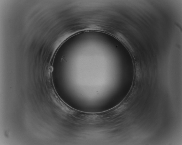 X0000101951292200807181442