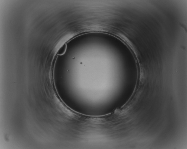 X0000101951293200807181442