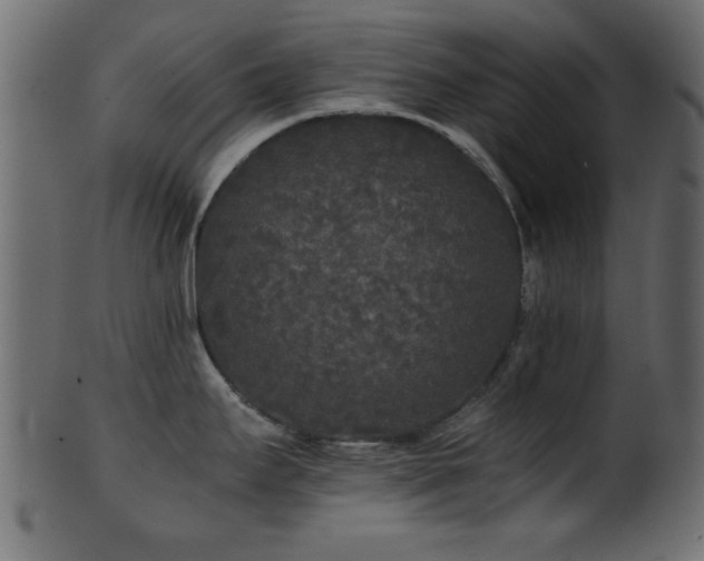 X0000101951295200807181442