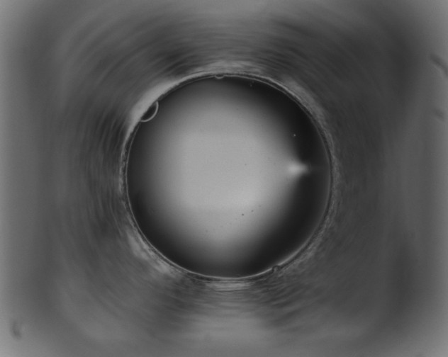 X0000101951296200807181442