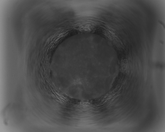 X0000101951297200807181441