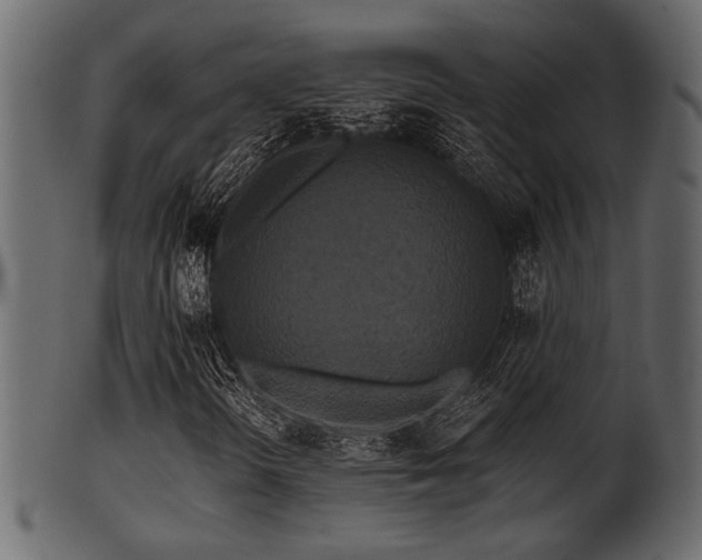 X0000101951298200807181441