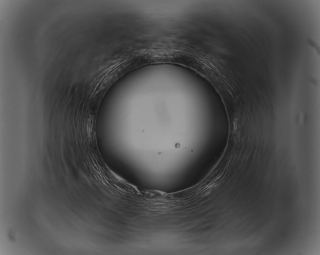 X0000101951300200807181441