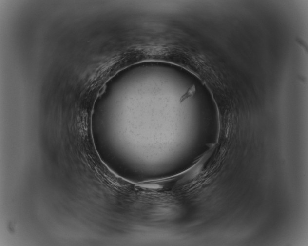 X0000101951301200807181441