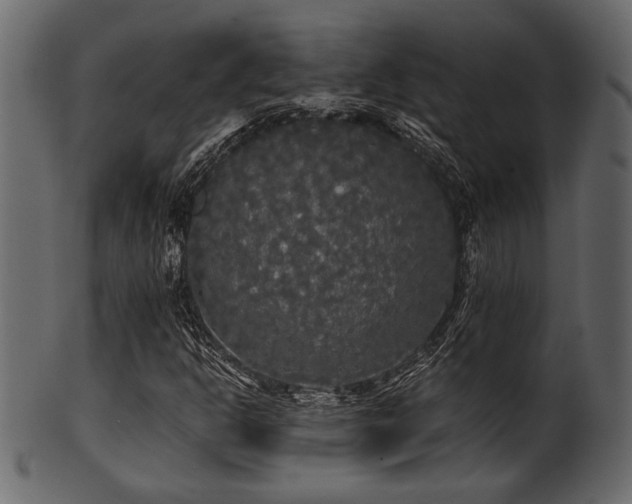 X0000101951302200807181441