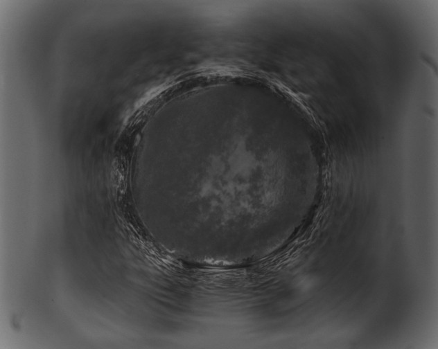 X0000101951303200807181441