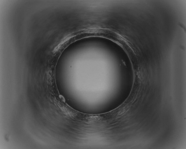 X0000101951304200807181441