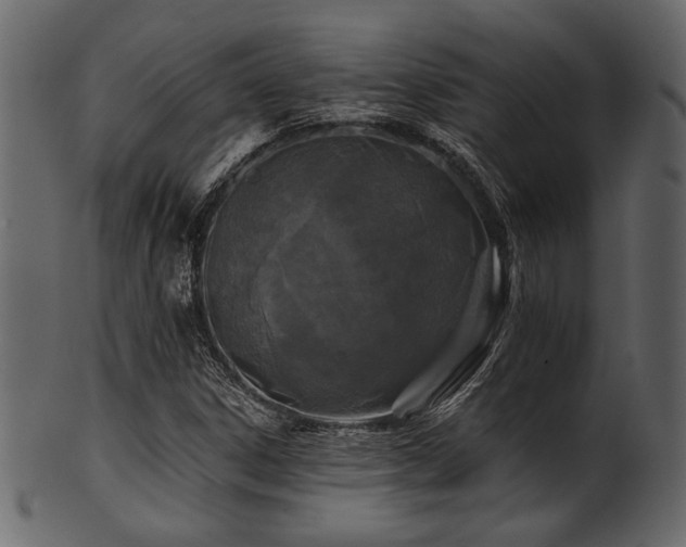 X0000101951306200807181441