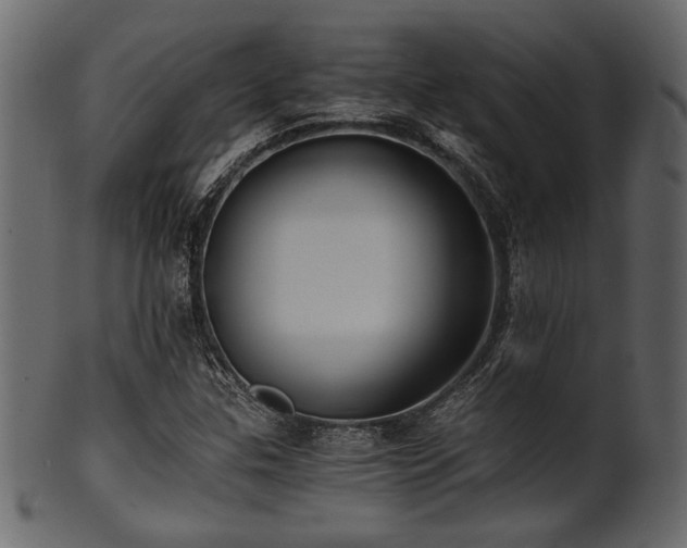 X0000101951307200807181441