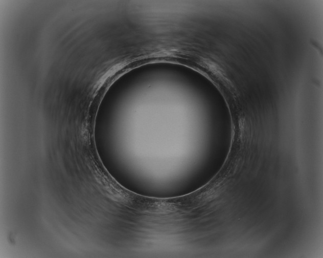 X0000101951308200807181441