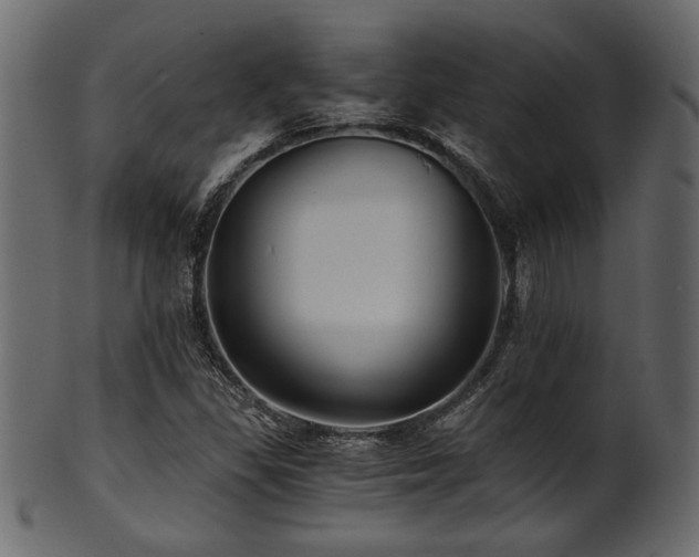 X0000101951309200807181441