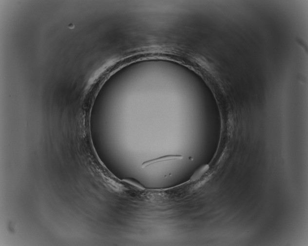 X0000101951310200807181441