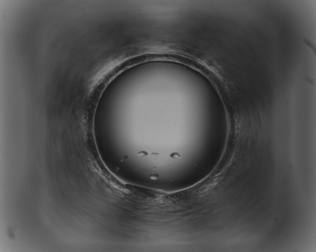 X0000101951311200807181441