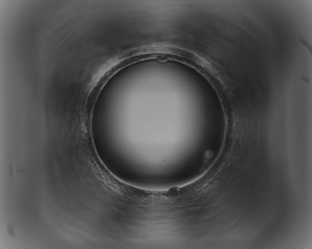 X0000101951312200807181441