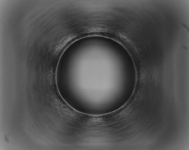 X0000101951313200807181441