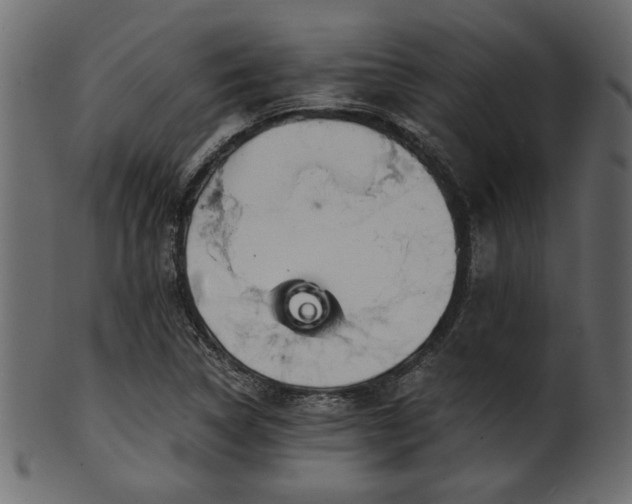 X0000101951314200807181441