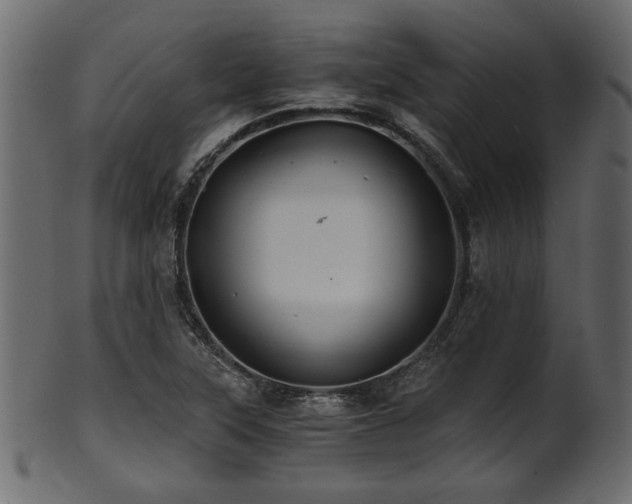 X0000101951315200807181441