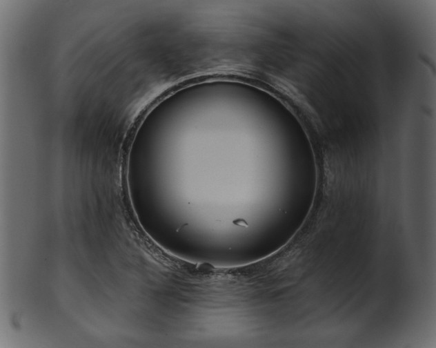 X0000101951316200807181441