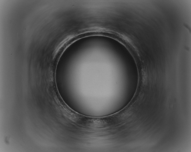 X0000101951318200807181441