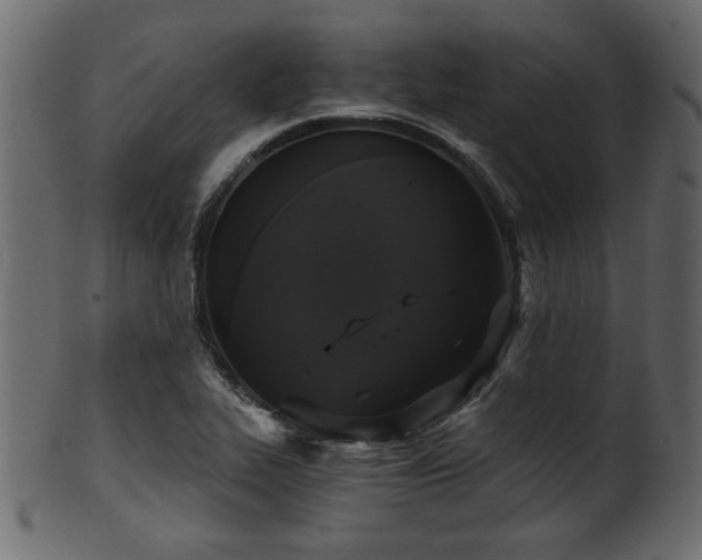 X0000101951319200807181441