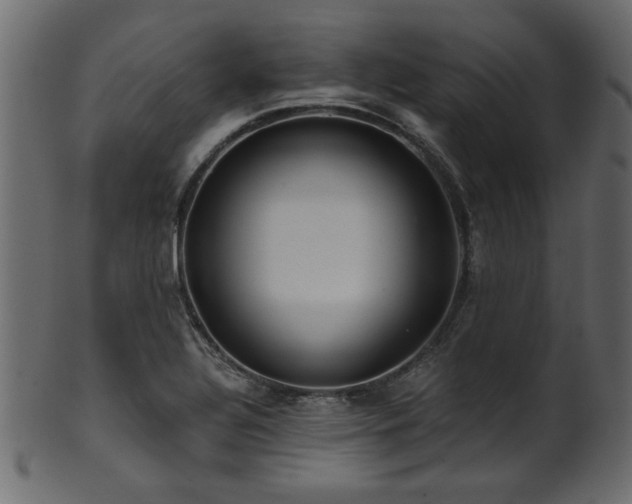 X0000101951320200807181441