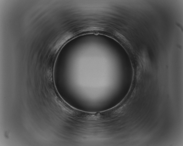 X0000101951321200807181441