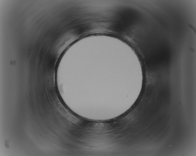 X0000101951322200807181441