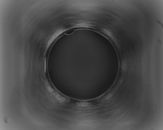 X0000101951323200807181441