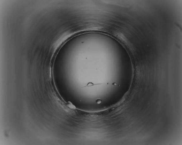 X0000101951324200807181441