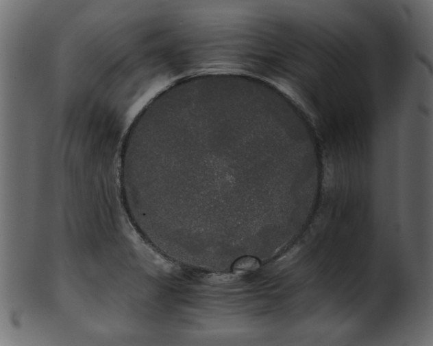 X0000101951325200807181441