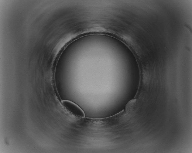 X0000101951326200807181441