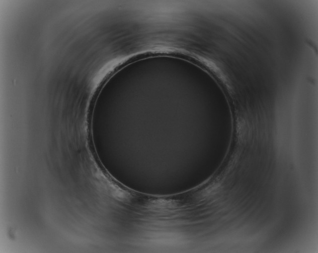 X0000101951327200807181441