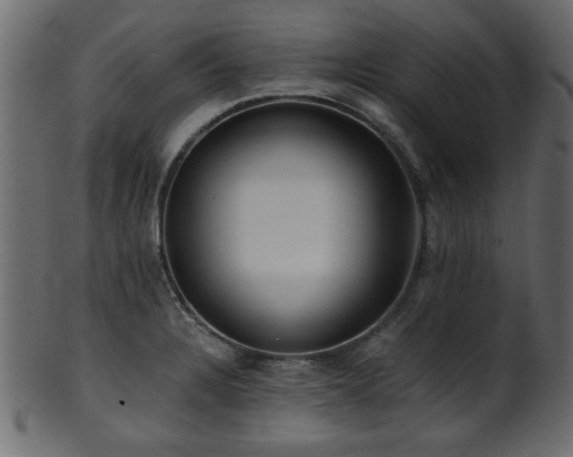 X0000101951328200807181441