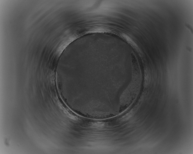 X0000101951329200807181441