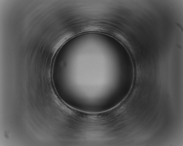 X0000101951330200807181441