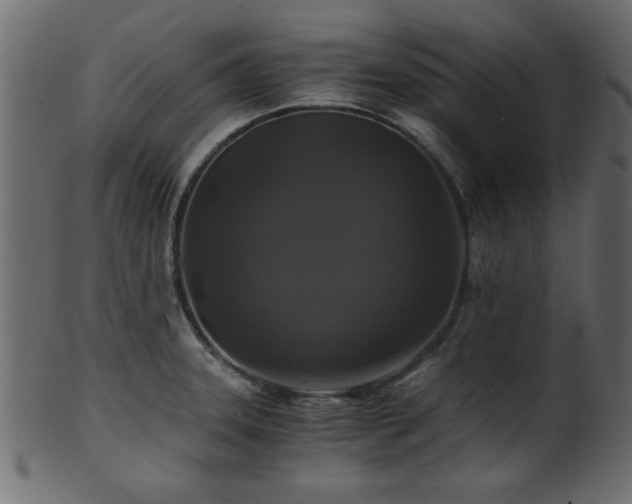 X0000101951331200807181441