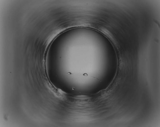 X0000101951332200807181441