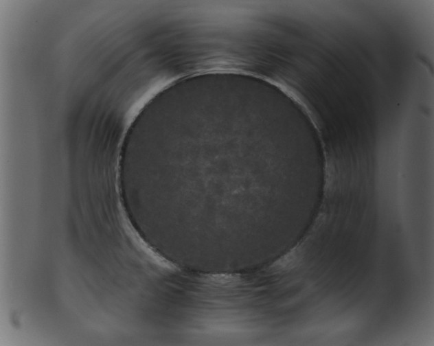 X0000101951333200807181441