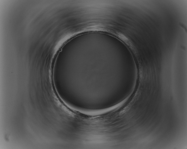 X0000101951334200807181441