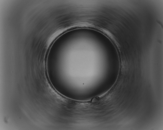 X0000101951335200807181441