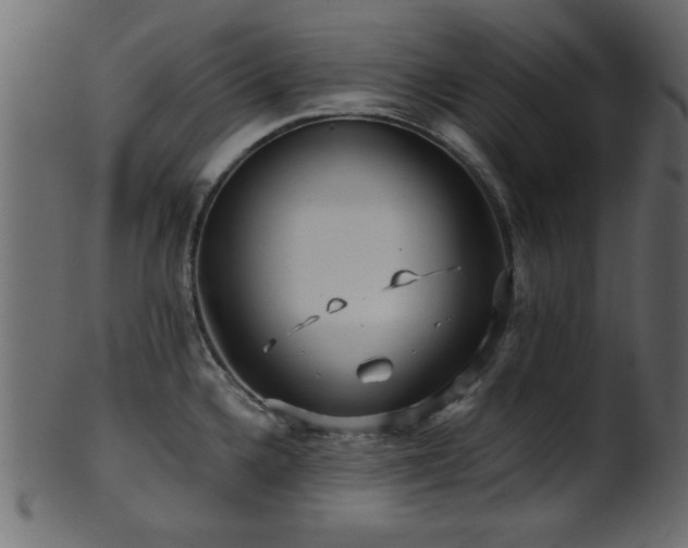 X0000101951336200807181441