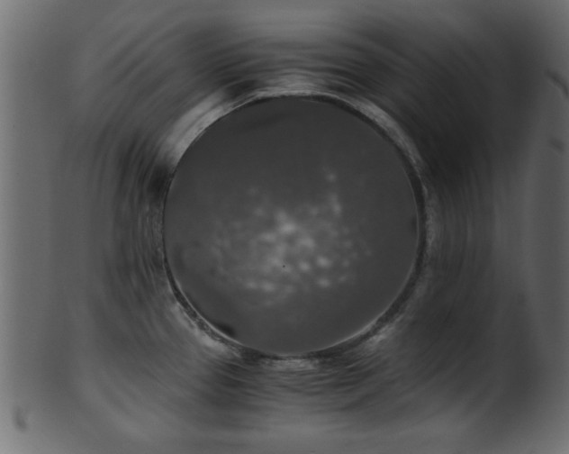 X0000101951337200807181441