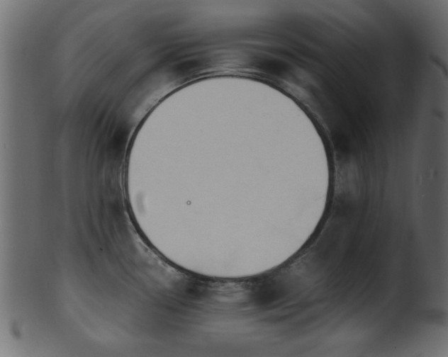 X0000101951338200807181441