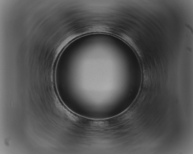 X0000101951339200807181441