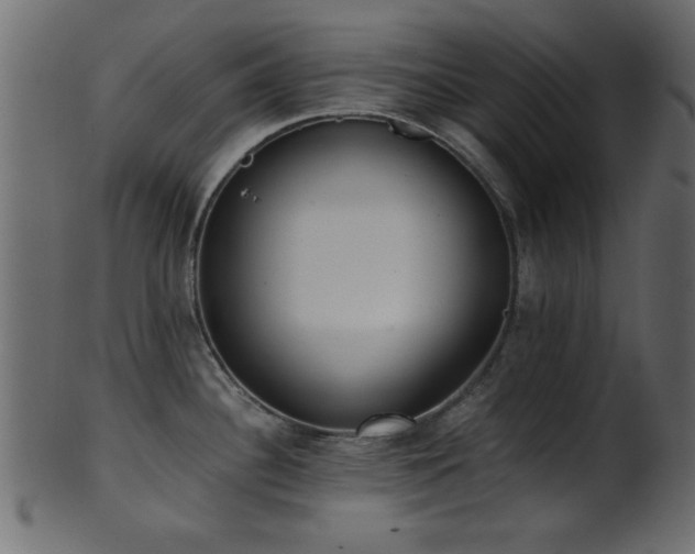 X0000101951340200807181441