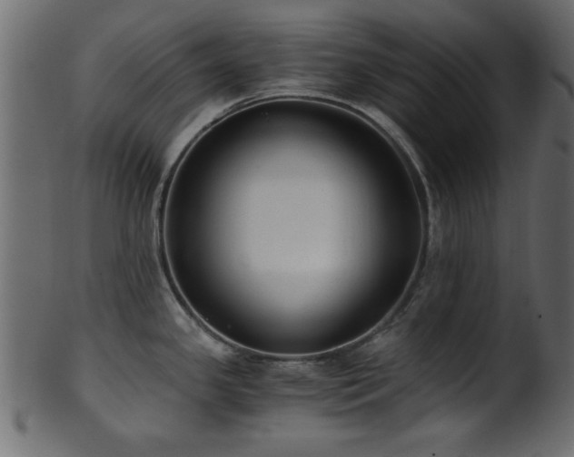 X0000101951341200807181441