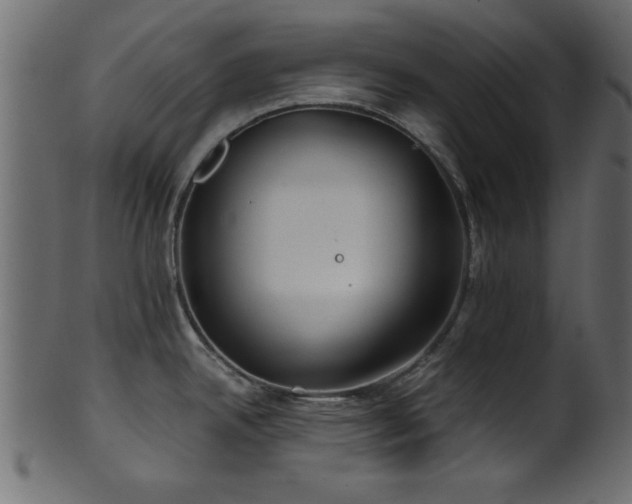 X0000101951342200807181441