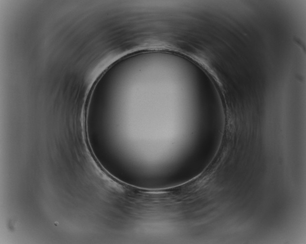 X0000101951343200807181441